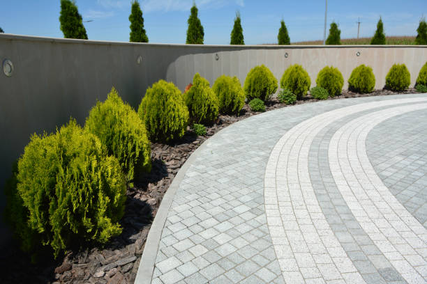 Best Driveway Paving Company  in Murphys Estates, SC